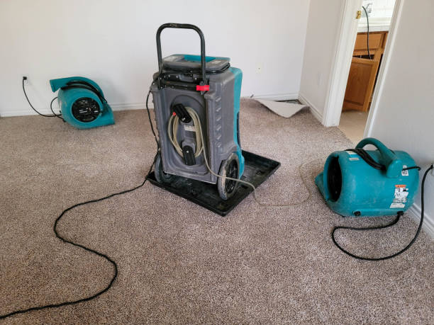 Best Water damage restoration near me  in Sevierville, TN