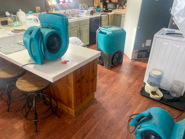 Trusted Sevierville, TN Water damage restoration Experts