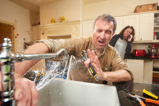 Best Sewage cleanup and water damage restoration  in Sevierville, TN